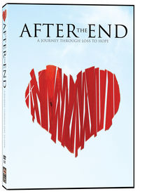 box art for After the End