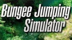box art for Bungee Jumping Simulator