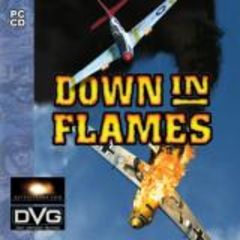 box art for Down In Flames