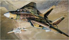 box art for F-14 Tomcat