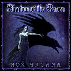 box art for In The Shadow Of The Raven 2
