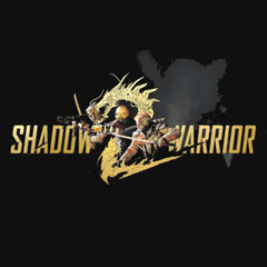 box art for Shadow Warrior 2