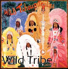 Box art for Wild Tribe