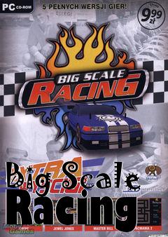 Box art for Big Scale Racing