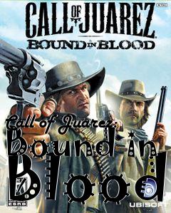 Box art for Call of Juarez: Bound in Blood