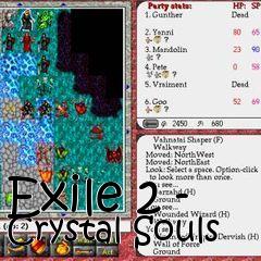 Box art for Exile 2 - Crystal Souls