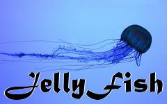 Box art for JellyFish