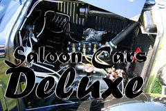 Box art for Saloon Cars Deluxe