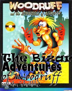 Box art for The Bizarre Adventures of Woodruff and the Schnibble