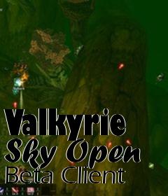 Box art for Valkyrie Sky Open Beta Client