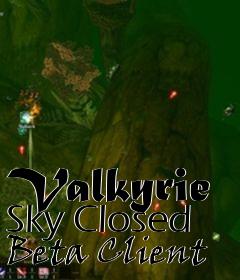 Box art for Valkyrie Sky Closed Beta Client