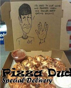 Box art for Pizza Dude: Special Delivery 