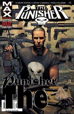 Box art for Punisher, The 