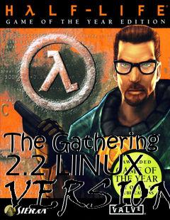 Box art for The Gathering 2.2 LINUX VERSION