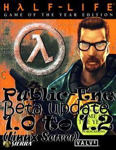 Box art for Public-Enemy Beta update 1.0 to 1.2 (Linux Server)