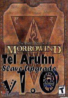Box art for Tel Aruhn Slave Upgrade v1.0