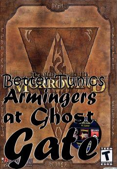 Box art for Better Tunics Armingers at Ghost Gate