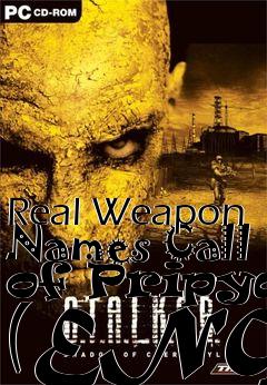 Box art for Real Weapon Names Call of Pripyat (ENG)