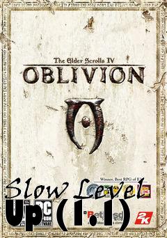 Box art for Slow Level Up (1.1)