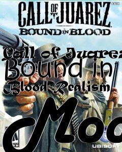 Box art for Call of Juarez: Bound in Blood Realism Mod
