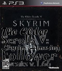 Box art for The Elder Scrolls V: Skyrim Amazing Follower Tweaks v.1.66