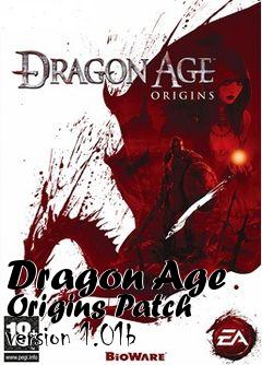 Box art for Dragon Age Origins Patch version 1.01b