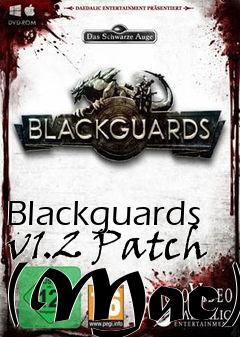 Box art for Blackguards v1.2 Patch (Mac)