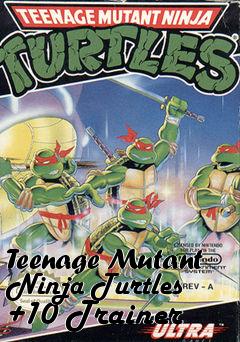 Box art for Teenage
Mutant Ninja Turtles +10 Trainer