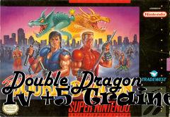 Box art for Double
Dragon Iv +5 Trainer