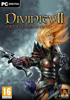 Box art for Divinity 2: Developers Cut