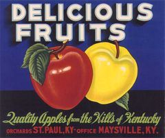 Box art for Fruits