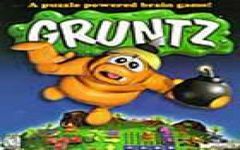 Box art for Gruntz