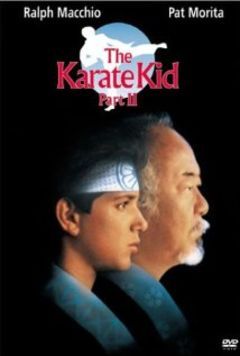 Box art for Karate Kid 2
