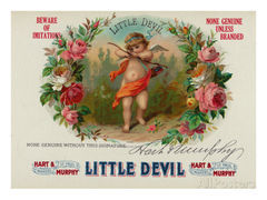 Box art for Little Devil