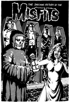 Box art for Misfits