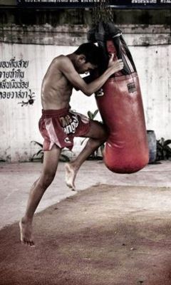 Box art for Muay Thai 2