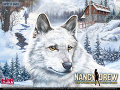 box art for Nancy Drew: The White Wolf of Icicle Creek