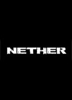 Box art for Nether