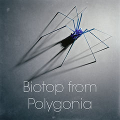 Box art for Polygonia