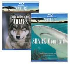 Box art for Shark Mountain