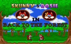 Box art for Skunny - Back to the Forest