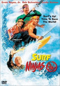 Box art for Surf Ninjas