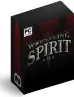 Box art for Wrestling Spirit 2