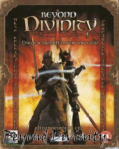 Box art for Beyond Divinity