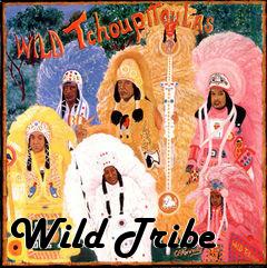 Box art for Wild Tribe