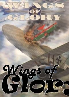 Box art for Wings of Glory