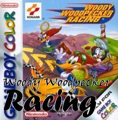 Box art for Woody Woodpecker Racing