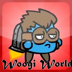 Box art for Woogi World