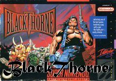 Box art for BlackThorne