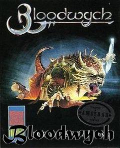 Box art for Bloodwych